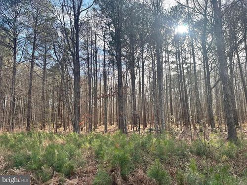 78 Cubitt Creek Rd, Heathsville, VA, 22473 | Card Image