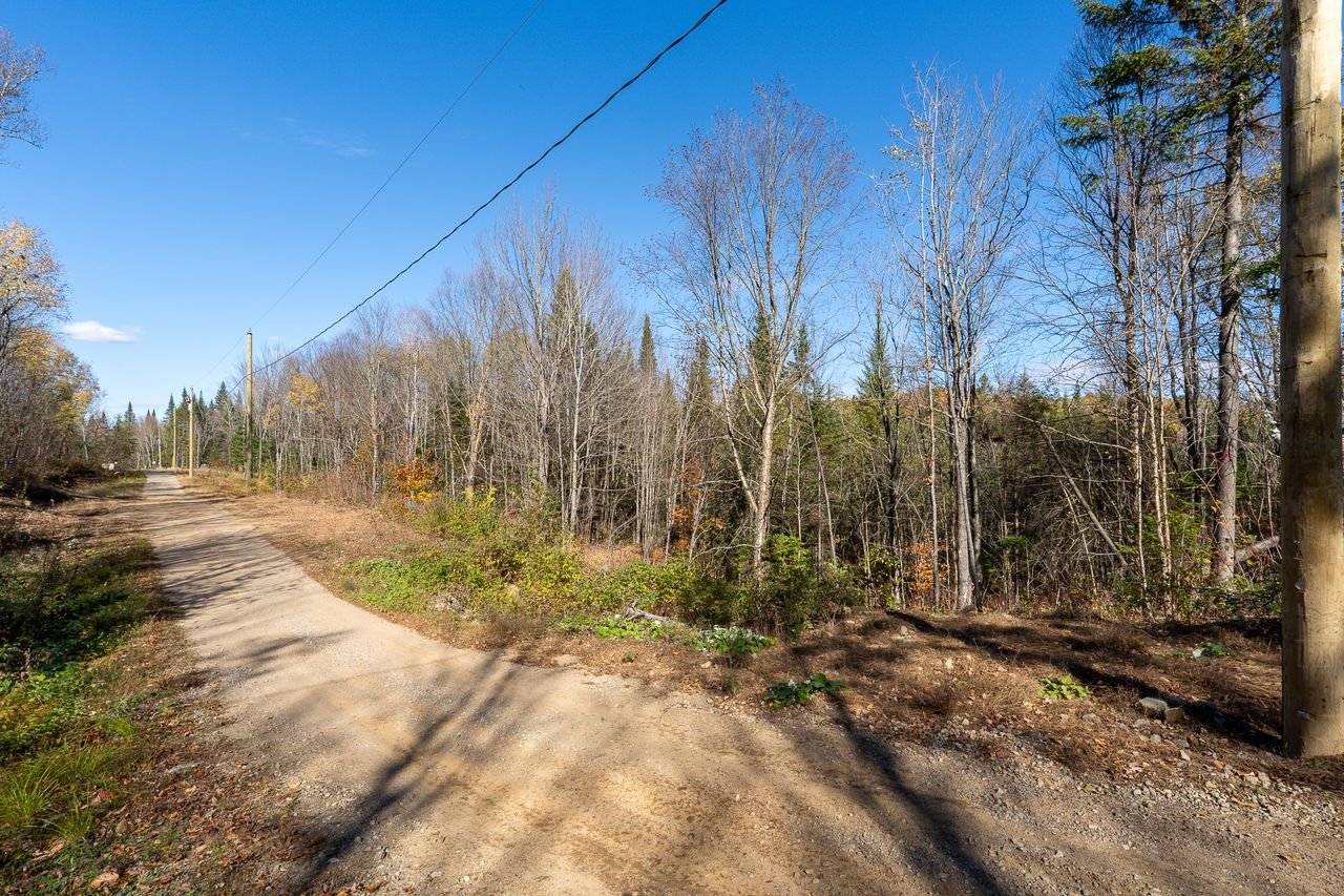 Land in Saint-Didace 5