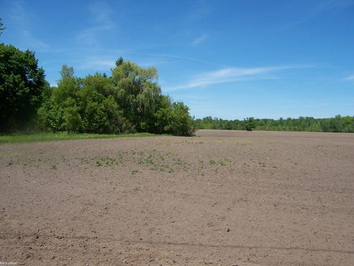 Lot 3 Lapeer Rd Road, Kimball Township, MI, 48074 | Card Image