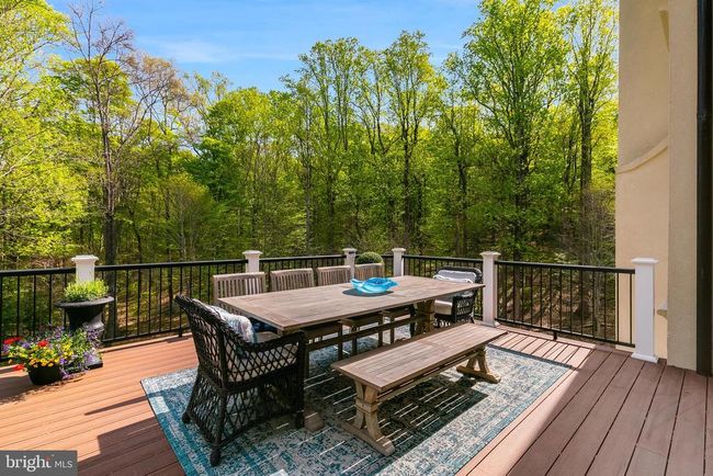 101 Chimney Ridge Pl, House other with 6 bedrooms, 7 bathrooms and null parking in Sterling VA | Image 97