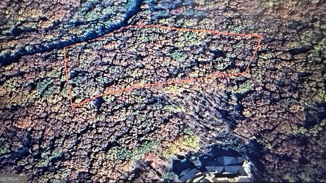 Land in Ellijay 5
