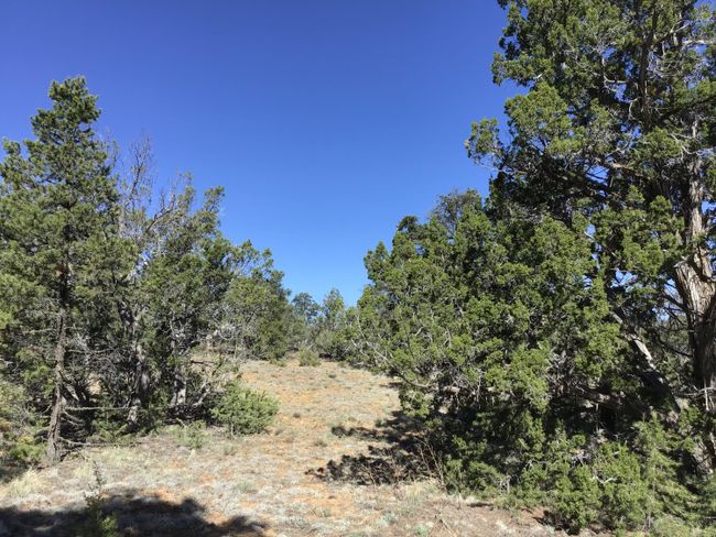 Lot 7 Red Fox Road, Home with 0 bedrooms, 0 bathrooms and null parking in Ramah NM | Image 30