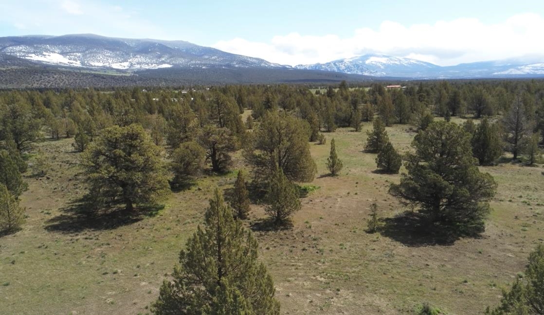 Land in Montague