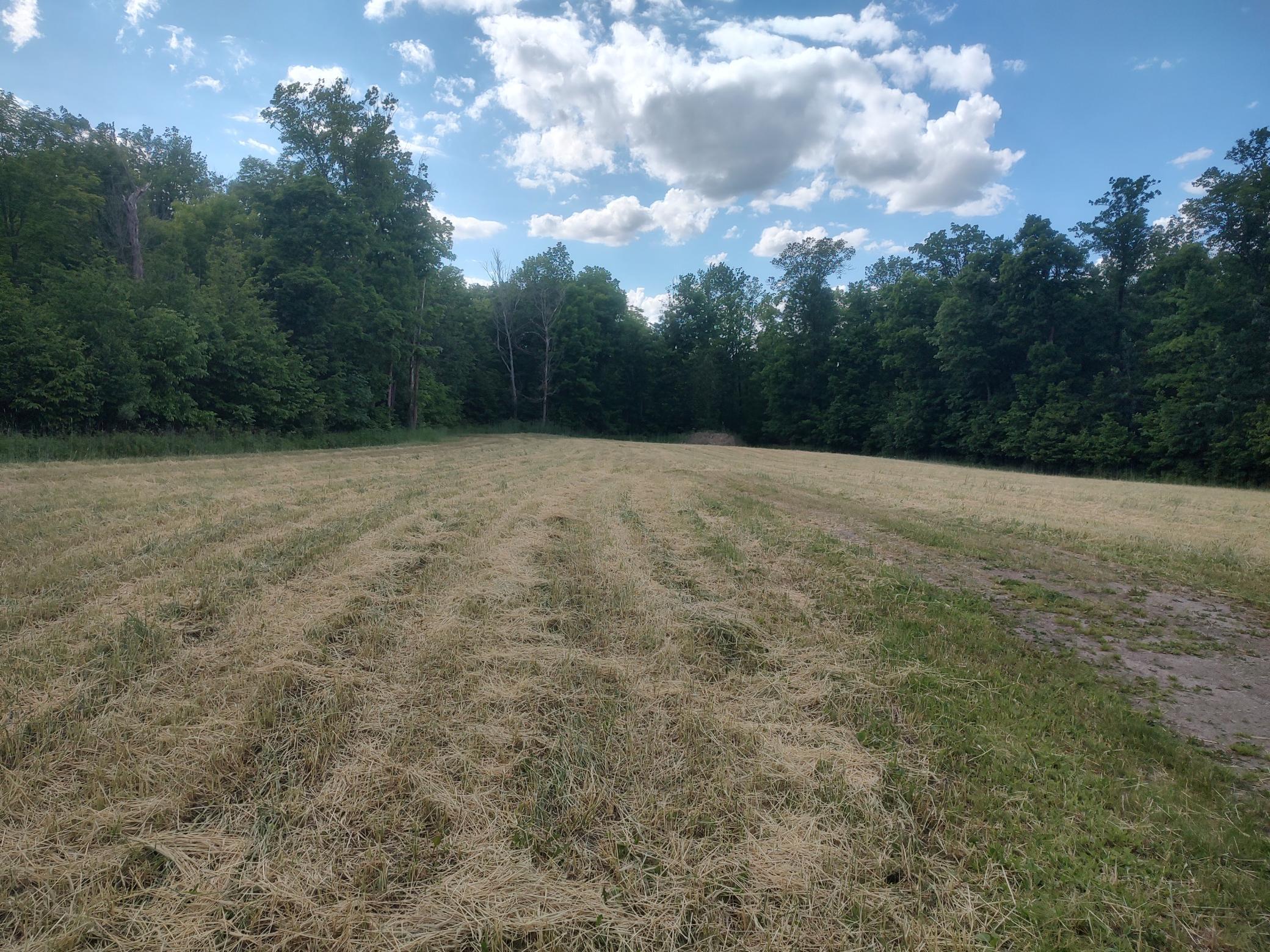 County 9 , Bemidji, MN 56601