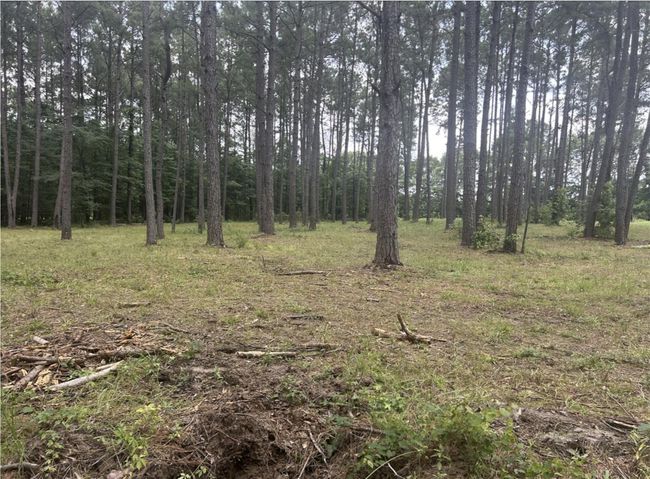 185 Forrest Rd, Home with 0 bedrooms, 0 bathrooms and null parking in Huntington TX | Image 13