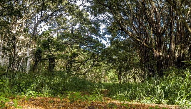 LOT-35 - 0000 Kamehameha Hwy, Home with 0 bedrooms, 0 bathrooms and null parking in Haleiwa HI | Image 13