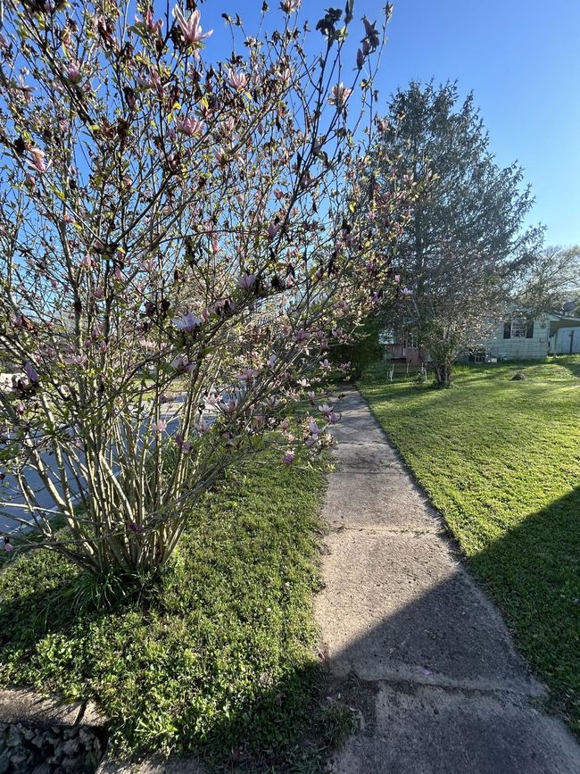 1065 N Main St, House other with 3 bedrooms, 2 bathrooms and null parking in Whitwell TN | Image 14