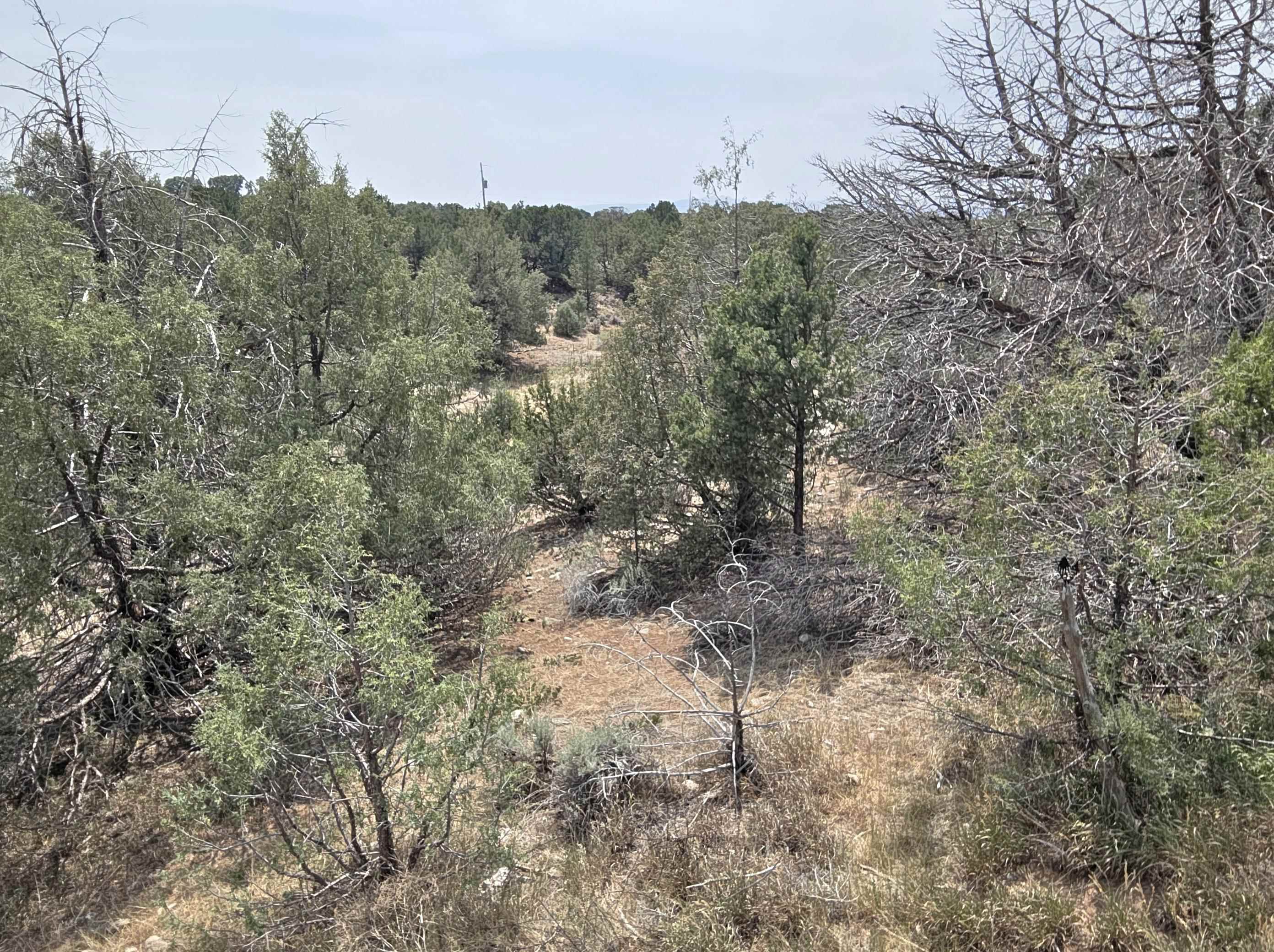 Land in Arroyo Seco 4