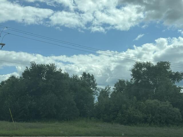 Land in Paw Paw