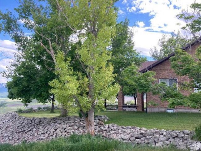 View of yard | Image 15