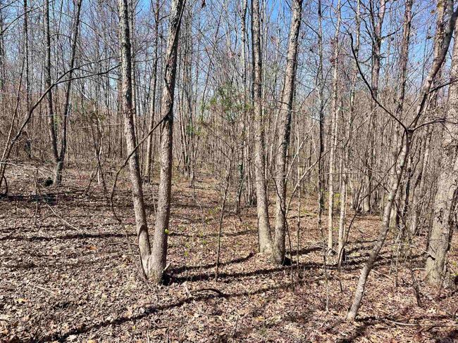 000 Dabney Rd, Home with 0 bedrooms, 0 bathrooms and null parking in Jerusalem AR | Image 17