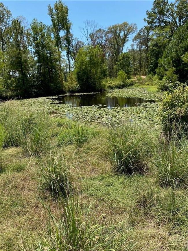 141 Buford Lashley Rd, House other with 1 bedrooms, 1 bathrooms and null parking in Atlanta LA | Image 24