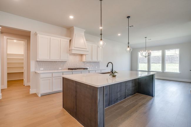 732 Feathergrass Ct, House other with 4 bedrooms, 4 bathrooms and null parking in Haslet TX | Image 10