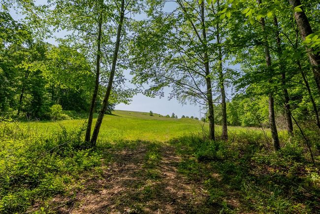 688 Gibson Knob Rd, Home with 0 bedrooms, 0 bathrooms and null parking in Laurel Fork VA | Image 78