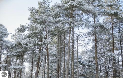 10.5 Spruce Hollow Trace, Fife Lake, MI, 49633 | Card Image