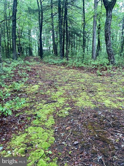 LOT 4 Highland Drive, HIGH VIEW, WV, 26808 | Card Image