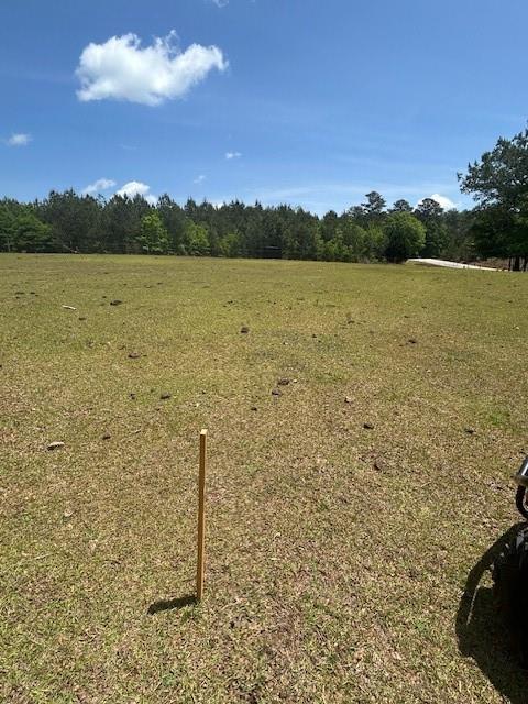 Land in Mcdonough 5