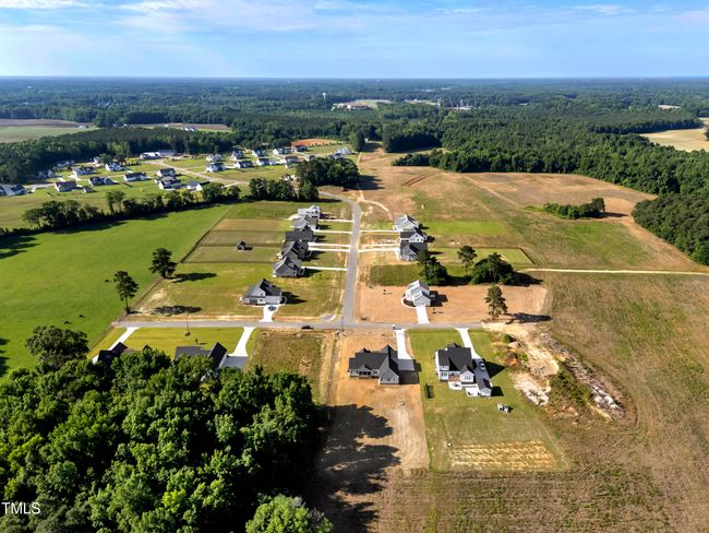 12-DJI_20250607084545_0028_D | Image 46