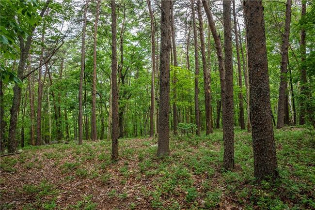 206 Mystic Trail Ln, Home with 0 bedrooms, 0 bathrooms and null parking in Jasper GA | Image 4