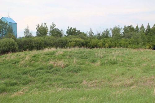 {{alt}} | Card Image