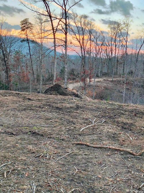 Lot 1 Woodland Est, Irvine, KY, 40336 | Card Image