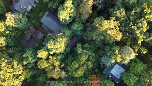 6C Wychwood Pk, Toronto, ON, M6G2V5 | Card Image