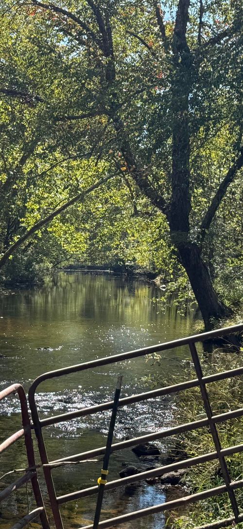 6402 Potts Creek Rd, Covington, VA, 24426-7215 | Card Image