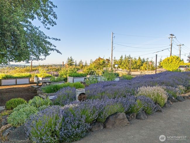 101 Provence View Ln, Home with 0 bedrooms, 0 bathrooms and null parking in Sequim WA | Image 37