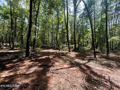 Tract 5 Pleasant Hill Rd, Ten Mile, TN, 37880 | Card Image
