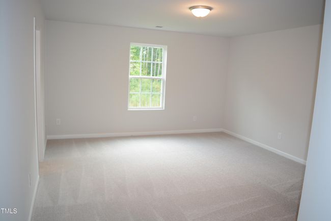 Photo #12 | Image 12