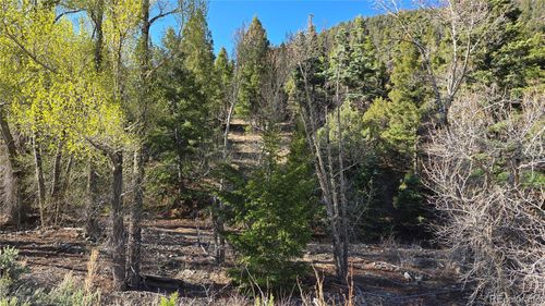 Lot 5475 Joy Road, Fort Garland, CO, 81133 | Card Image