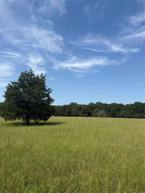 000 Fm 412, Clarksville, TX, 75426 | Card Image