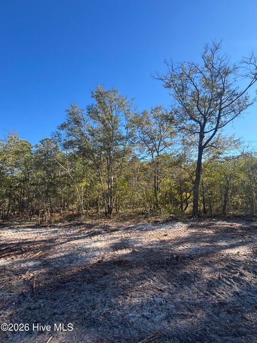 Lot 166 Carol St, Southport, NC, 28461 | Card Image