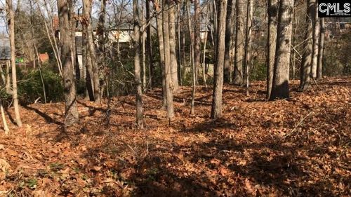 326 Carola Ln, Lexington, SC, 29072-3941 | Card Image