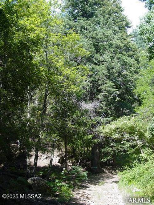 10920 E Tanager Ln, Mount Lemmon, AZ, 85619-0057 | Card Image