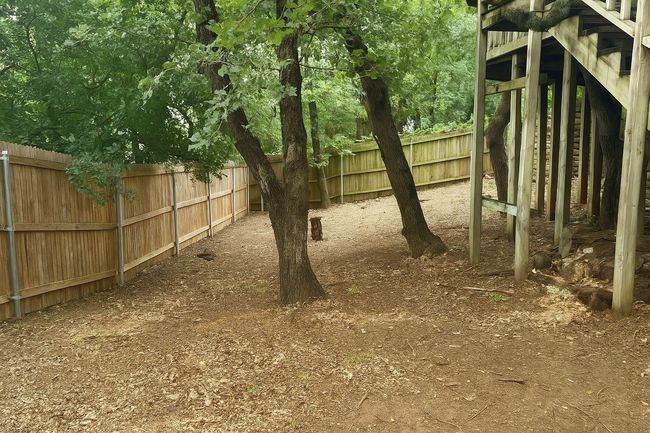 View of yard | Image 20