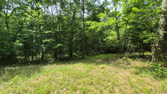 1255 Cherokee Path, Home with 0 bedrooms, 0 bathrooms and null parking in Jasper TN | Image 7