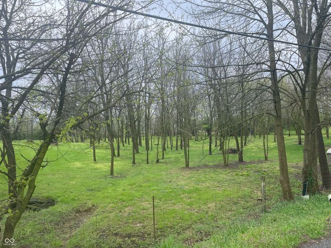 Beautifully manicured land that has drainage towards Wilson Way into a culvert | Image 8