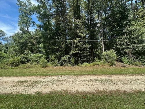 TBD Tract 4 Ragusa Road, Independence, LA, 70443 | Card Image