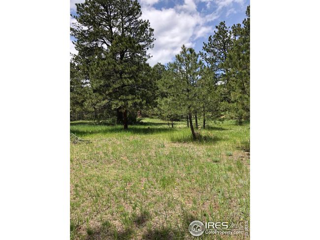 442 Quarter Circle Ln, Home with 0 bedrooms, 0 bathrooms and null parking in Evergreen CO | Image 8