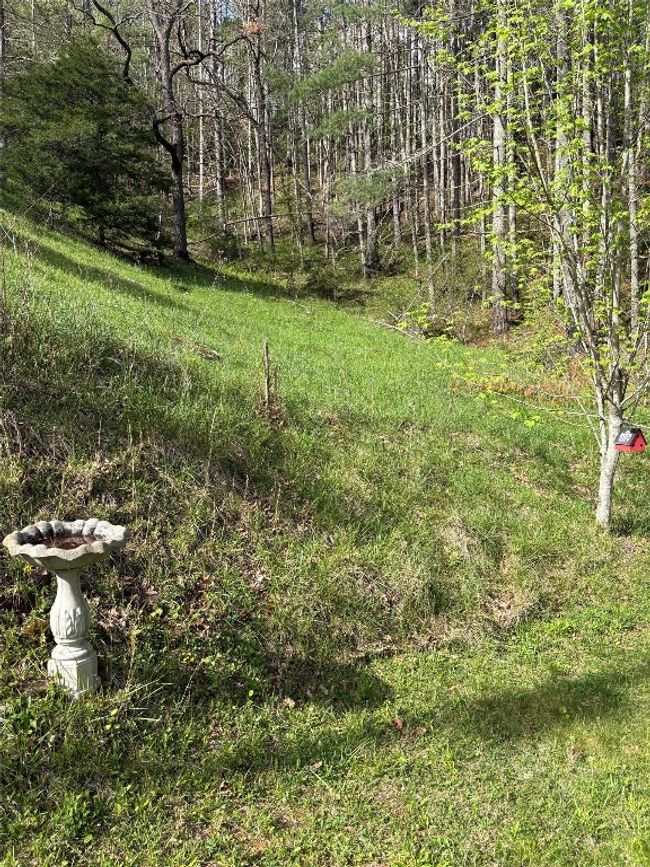 210 Triple Fork Rd, House other with 3 bedrooms, 3 bathrooms and null parking in Cullowhee NC | Image 14