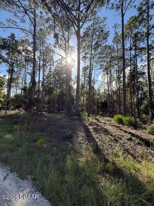 215 Hideaway Ln, Georgetown, FL, 32139-2309 | Card Image