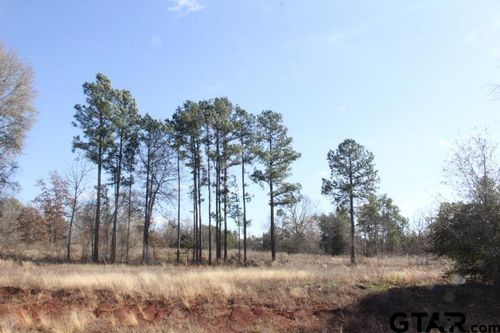 880 Stone Chimney Rd. (Lot 21 Cr 3608), Bullard, TX, 75757 | Card Image