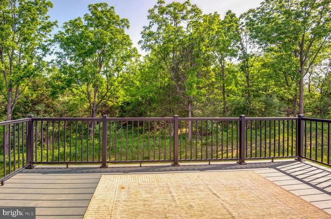 135 Wake Robin Ct, Townhouse with 3 bedrooms, 4 bathrooms and null parking in LAKE FREDERICK VA | Image 54