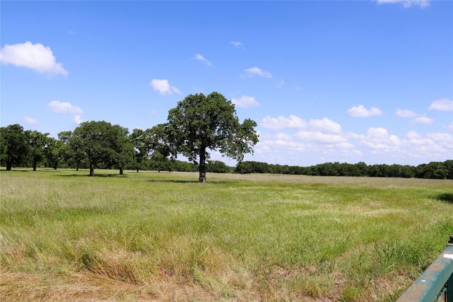 20 N Carroll St, Home with 0 bedrooms, 0 bathrooms and null parking in Henrietta TX | Image 6