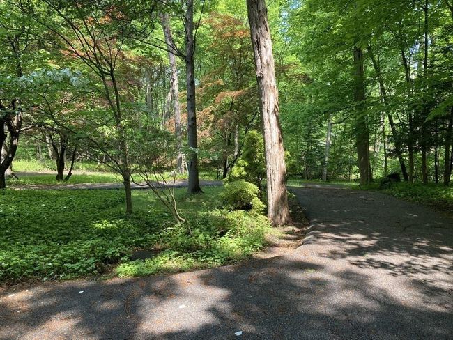 61 Furnace Brook Dr, House other with 5 bedrooms, 4 bathrooms and 2 parking in Cortlandt Mnr NY | Image 24