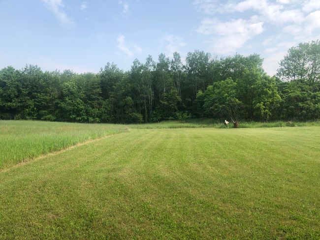 10233 N 10 Th St, House other with 6 bedrooms, 3 bathrooms and null parking in Plainwell MI | Image 18