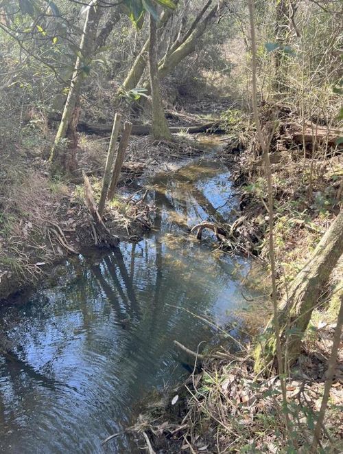 13 Acres Jack Rd, Laurel Hill, FL, 32567 | Card Image