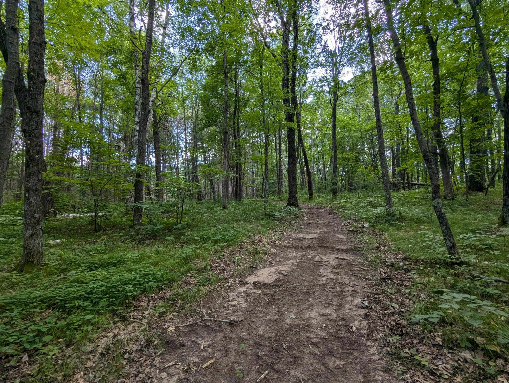 Land in Webster 2
