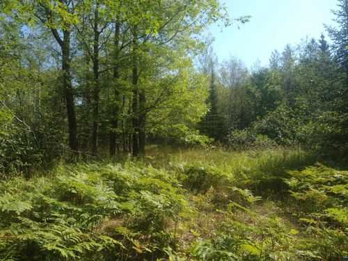 85XXX Fireplace Rd, Port Wing, WI, 54865 | Card Image